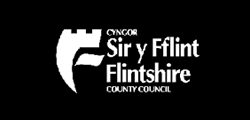 Flintshire County Council